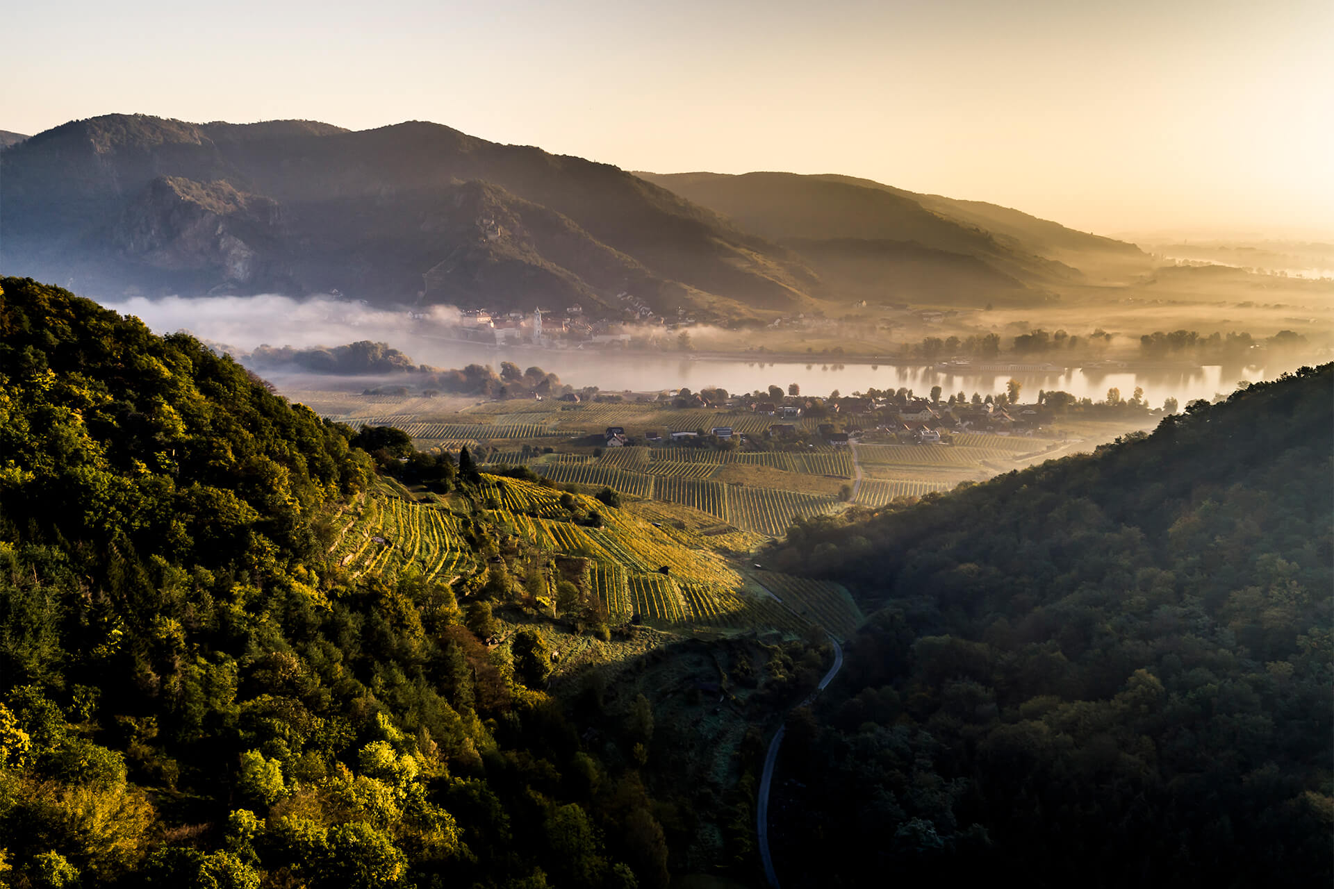 Ried-Goldberg_herbst-0164